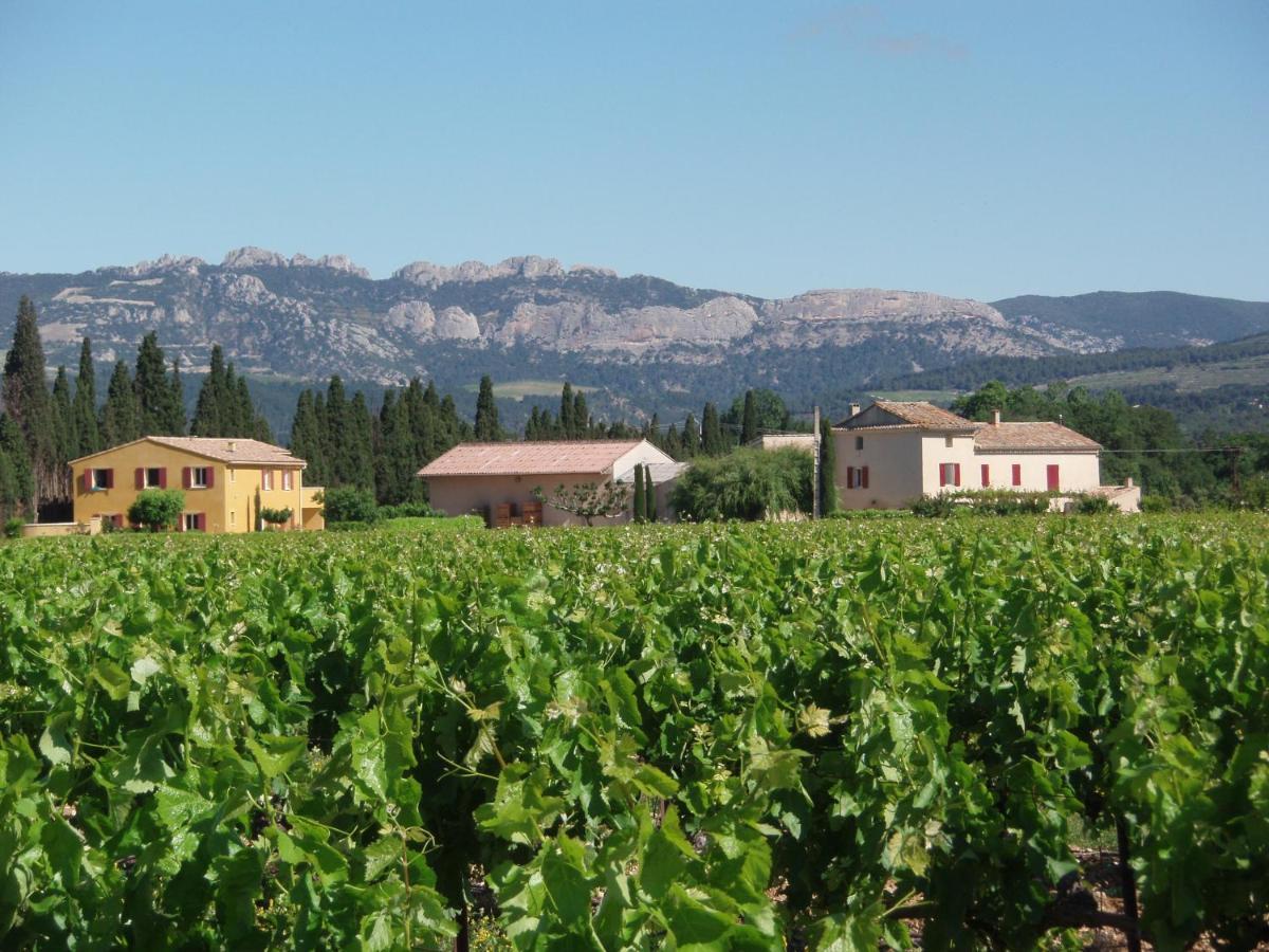 Gite Les Vignes Carpentras Exteriör bild